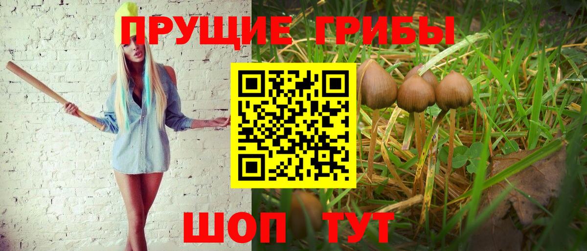 Галлюциногенные грибы мицелий Ступино